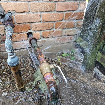 WhatsApp Image 2025-11-04 at 07.34.21